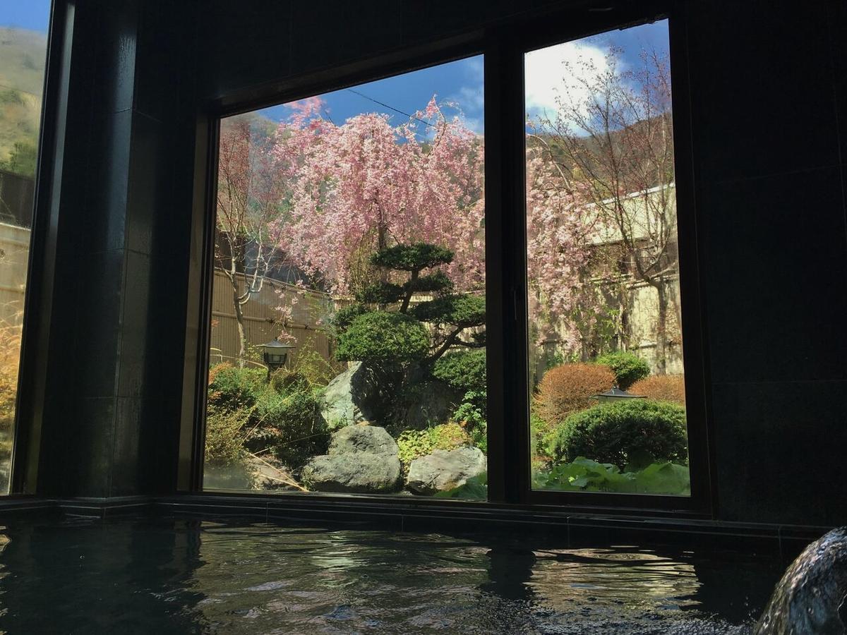 Shoji Mount Hotel Fujikawaguchiko Zewnętrze zdjęcie